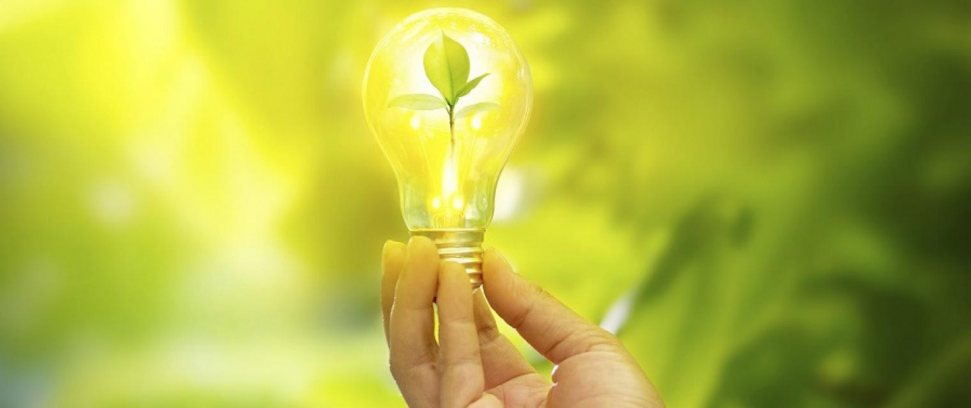 Sustainability Consulting